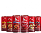 הסדרה הישראלית