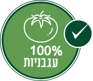 100% עגבנייה