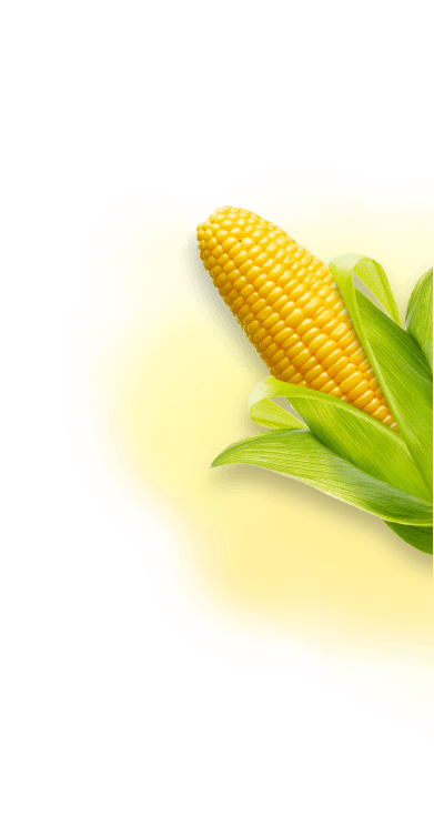 corn